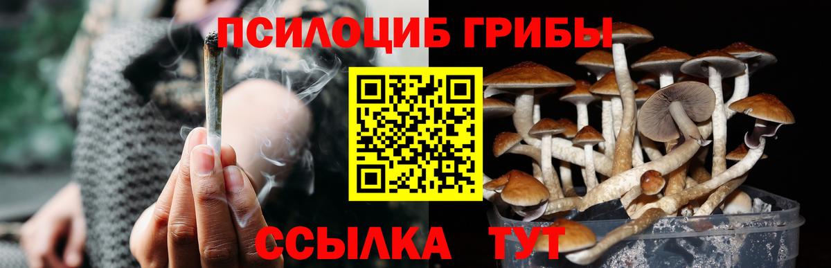 Псилоцибиновые грибы мухоморы  Вход с VPN  Самара 